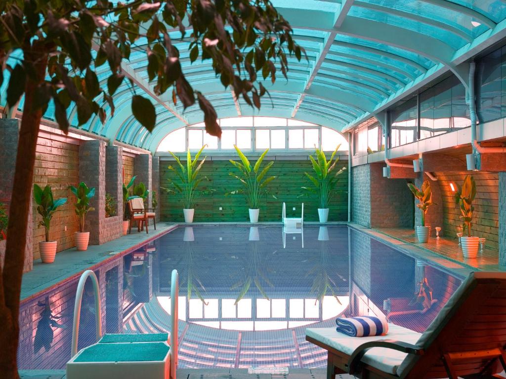 深圳的住宿－深圳东方银座酒店 ，一座种植了植物的大型游泳池