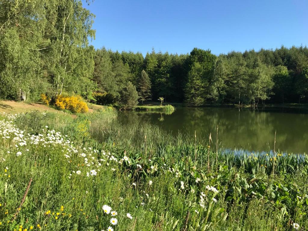 Gallery image of Ancienne Auberge des Brizards - Morvan (14 personnes) in Quarré-les-Tombes