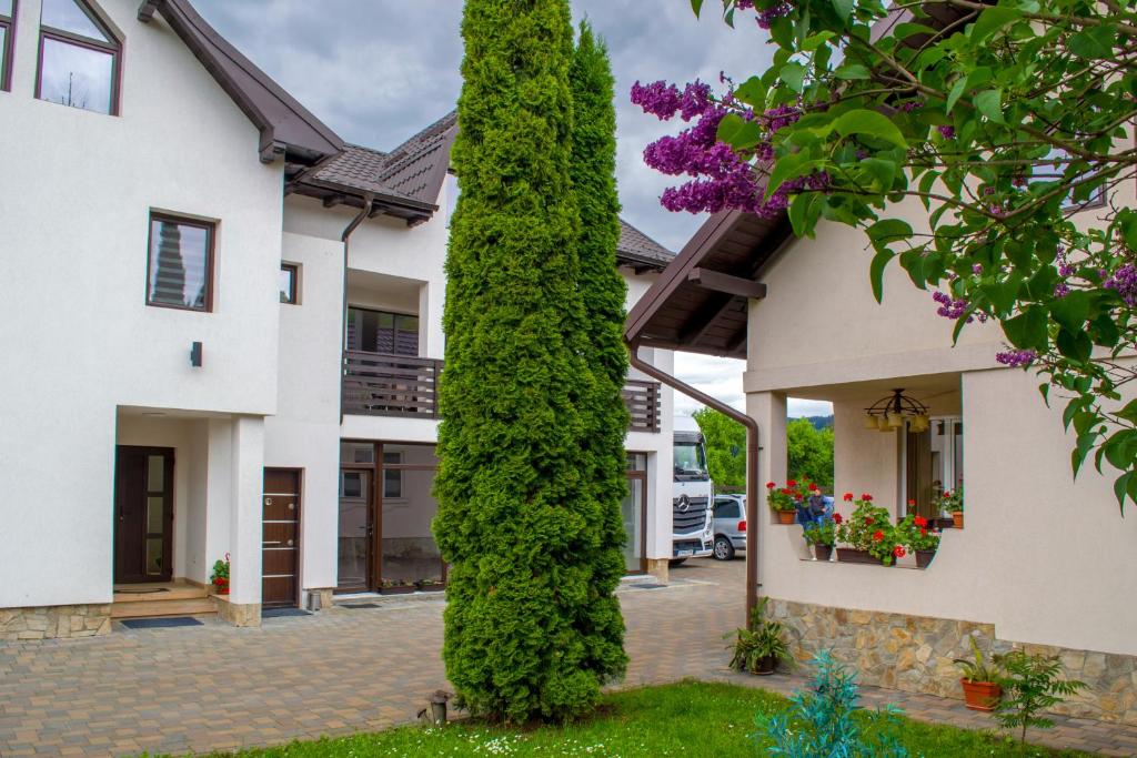 a tall green tree in front of a house at Residence Ghinita Bucovina in Gura Humorului