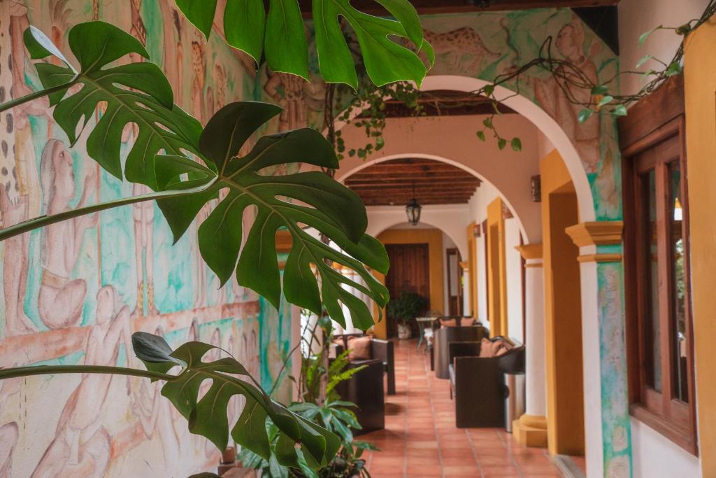 Fotografie z fotogalerie ubytování Hotel Casa Margarita v destinaci San Cristóbal de Las Casas
