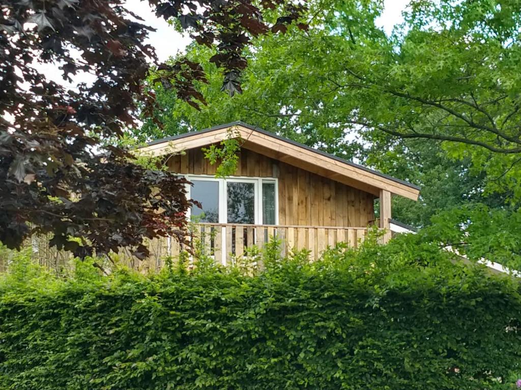 une petite cabane en bois avec une fenêtre dans une forêt dans l'établissement Landgoed Wittelte Dwingeloo, à Wittelte
