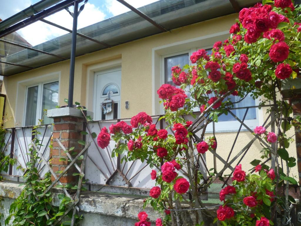 Zahrada ubytování Ferienhaus 1