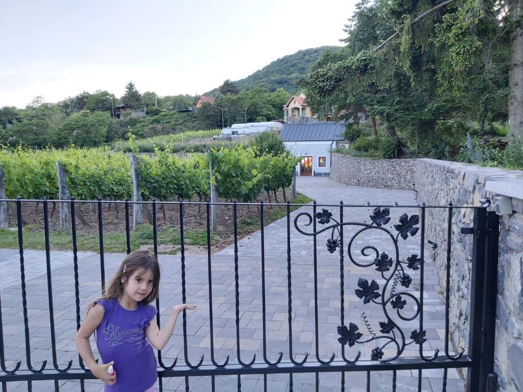 Ein kleines Mädchen steht vor einem Tor. in der Unterkunft Villő Villa in Badacsonytomaj