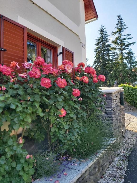 Ogród w obiekcie Villő Villa