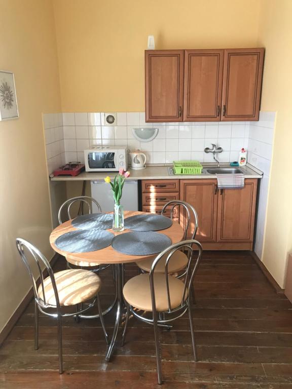 Kuchyň nebo kuchyňský kout v ubytování Apartman u Karla