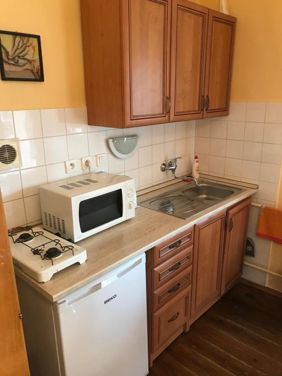 Kuchyň nebo kuchyňský kout v ubytování Apartman u Karla