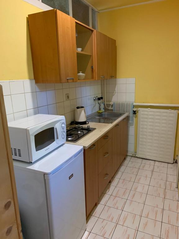Kuchyň nebo kuchyňský kout v ubytování Apartman u Karla