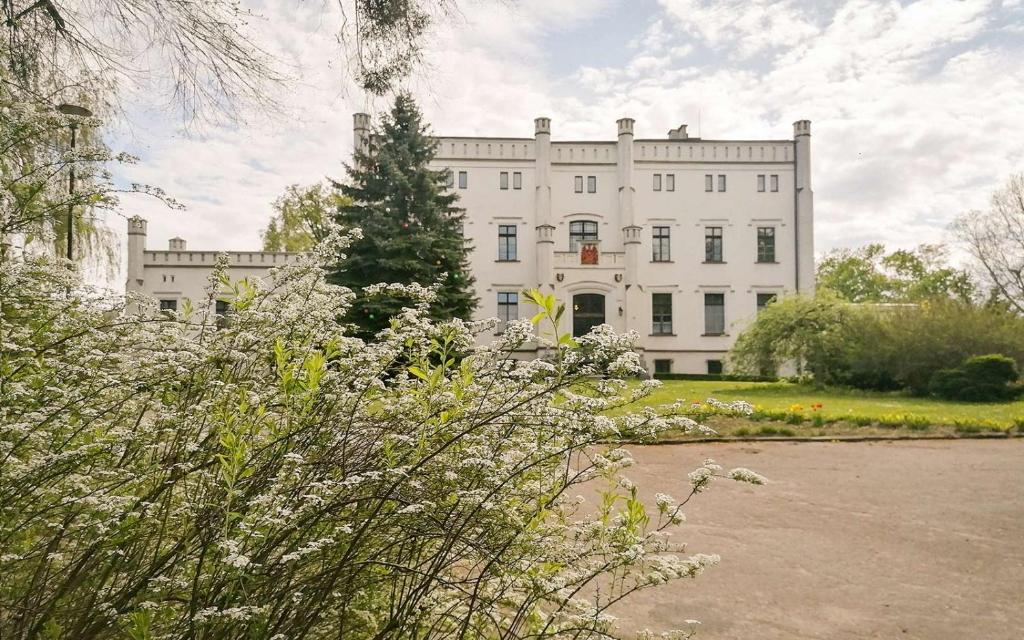 a large white building with a tree in front of it at Pałac Bałoszyce in Susz