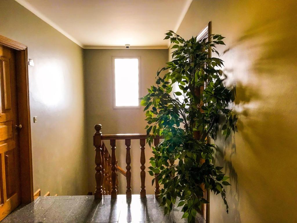 Hotel do Paço By VimaHotels - Resim 42