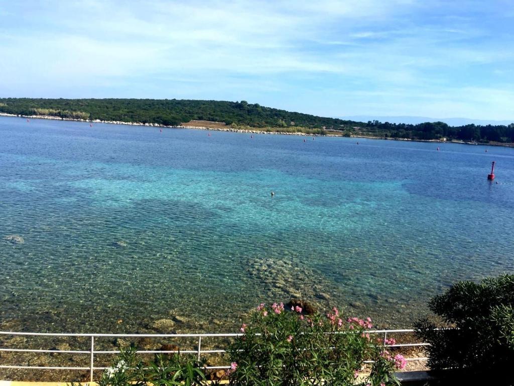 a view of a large body of water at Apartment Blue - right at the beach in Ilovik