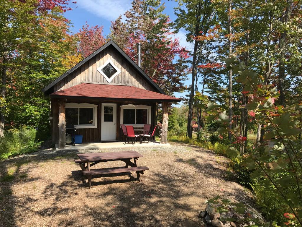 uma pequena cabana com uma mesa de piquenique em frente em paradis sauvage geronimo em St-Etienne de Bolton