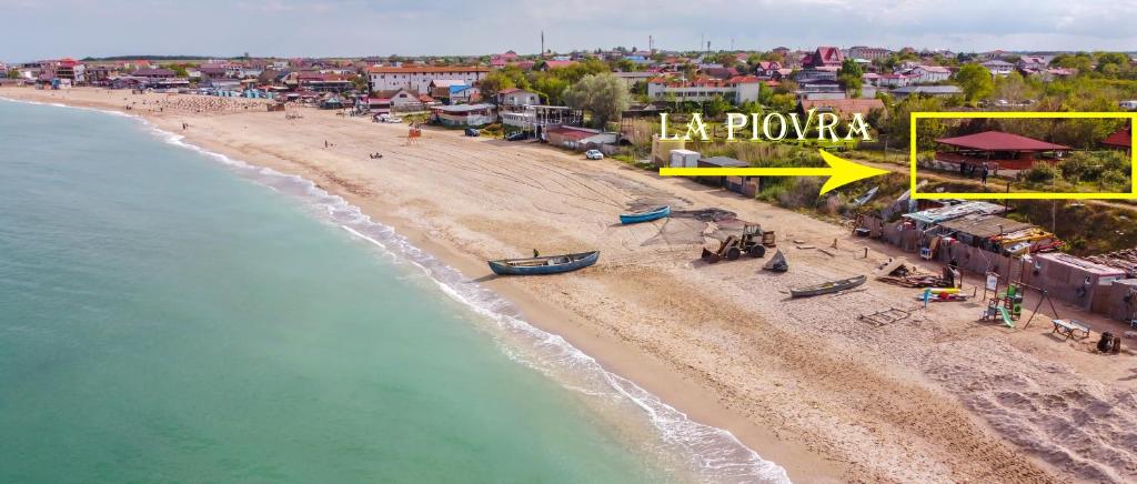 Foto dalla galleria di La Piovra Vama Veche a Vama Veche