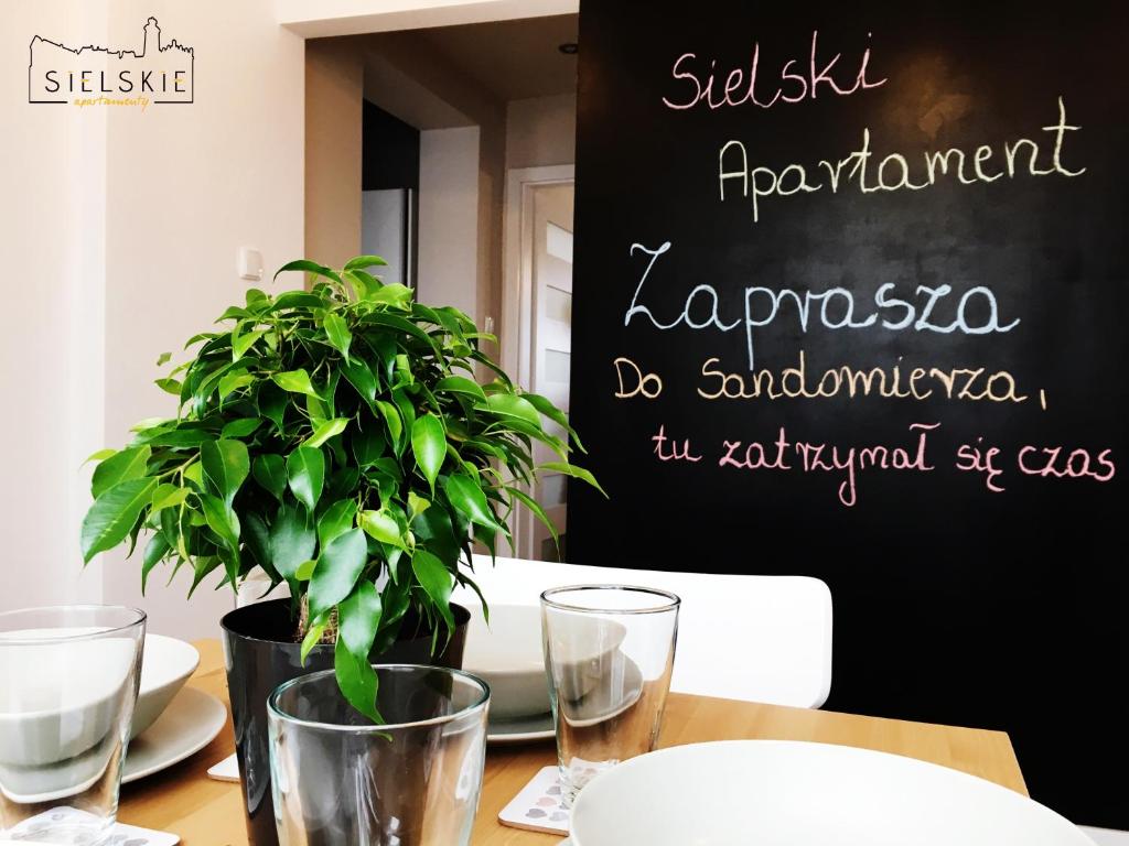 une table avec une plante en pot et un tableau noir dans l'établissement Sielskie Apartamenty, à Sandomierz