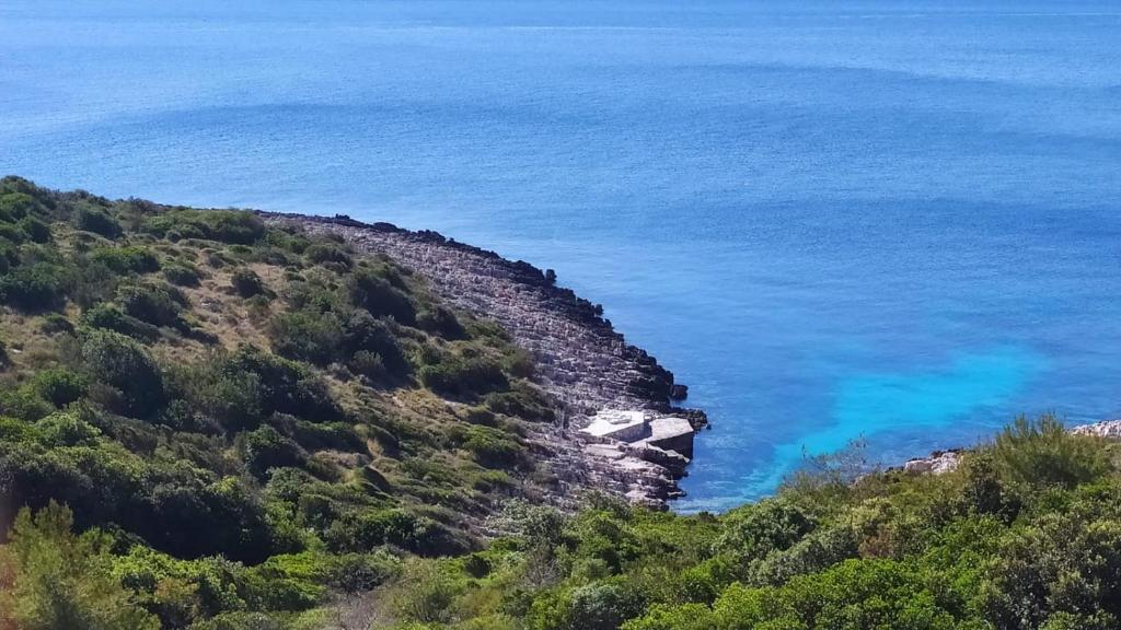 a view of the ocean from a hill at Apartments Tanja in Zavalatica