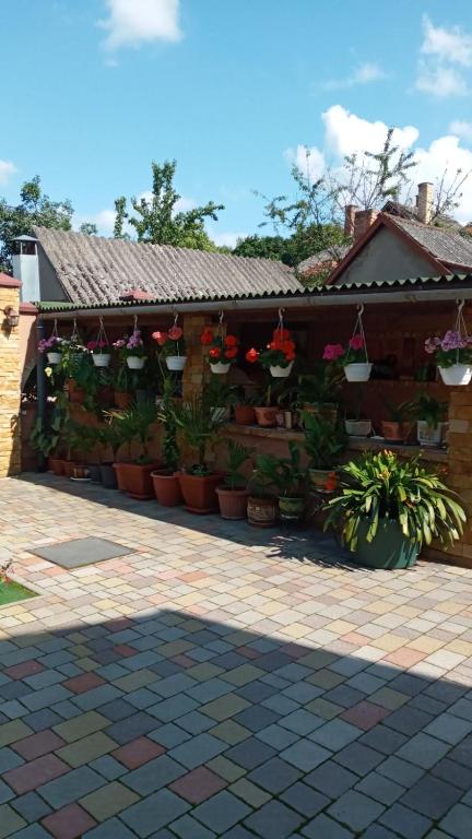 Zahrada ubytování Guest House Zhanna