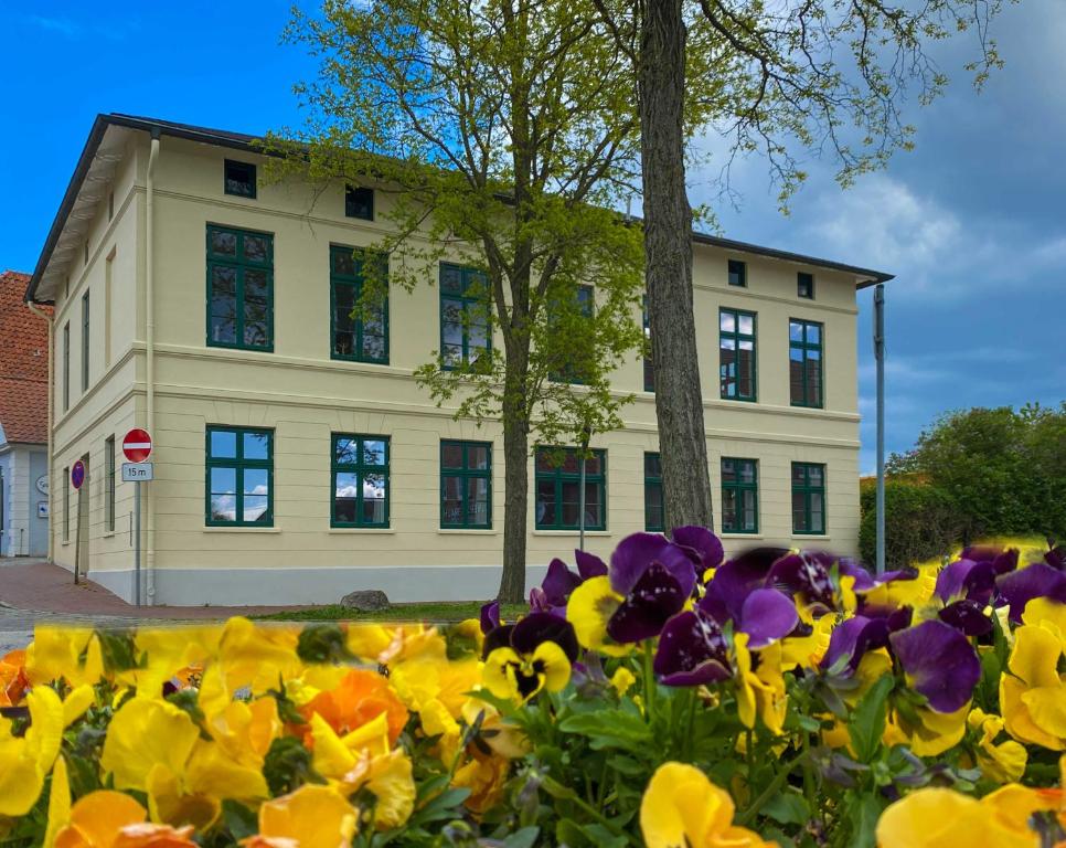 a building with a field of flowers in front of it at Ferienwohnung _Altes Zollamt_ in Neustadt in Holstein