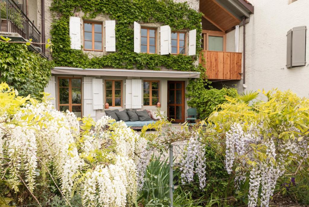 a garden with white flowers in front of a house at Wonderlandscape Guest House in Geneva