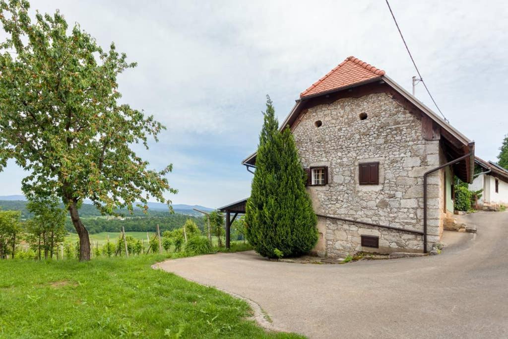 Příroda nedaleko apartmánu