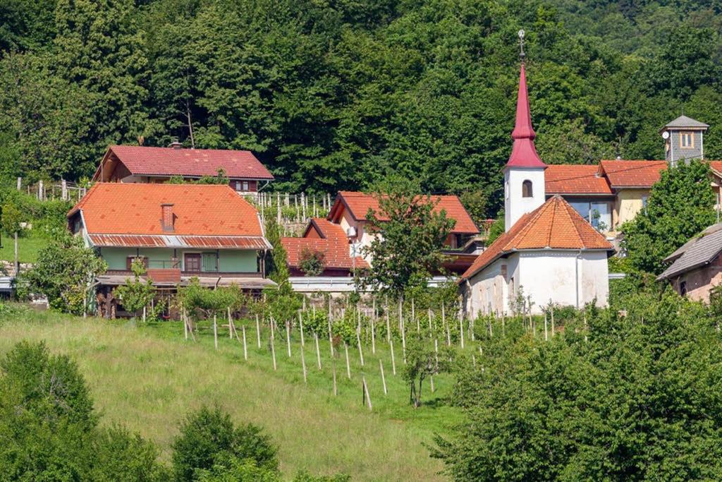 Příroda nedaleko apartmánu
