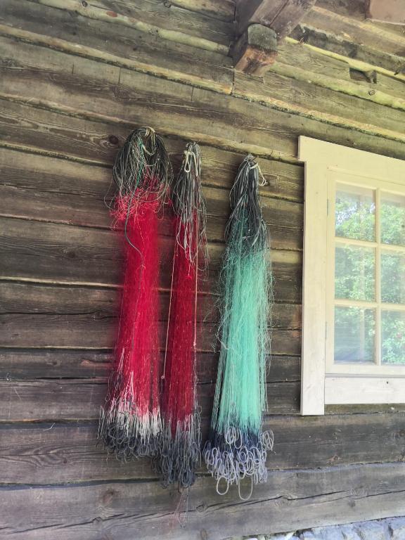 Foto sihtkohas Saareküla asuva majutusasutuse Kotka Farm galeriist