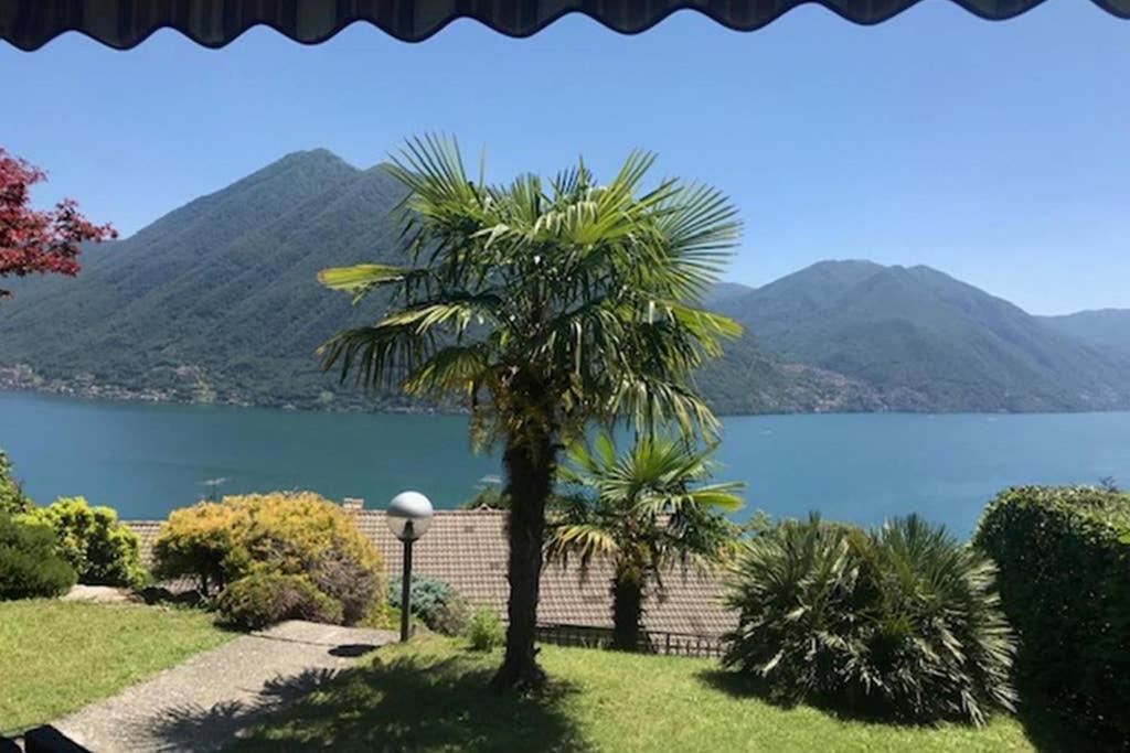 eine Palme vor einem Wasserkörper in der Unterkunft Villetta near Argegno Dizzasco in Muronico