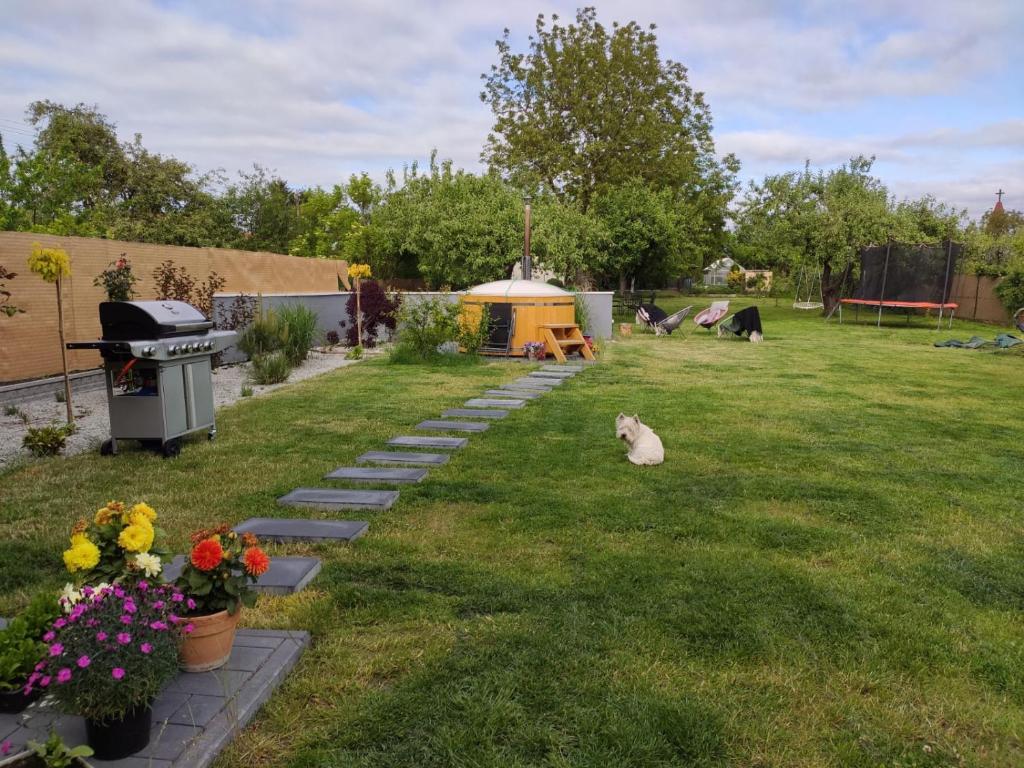 einen Garten mit einer Katze auf dem Rasen in der Unterkunft Willa Wanda - duży ogród z hot-tube i sauna in Sztum