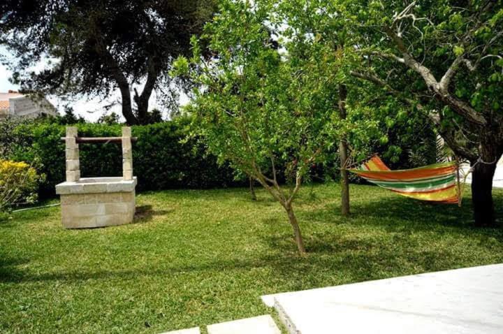 Zahrada ubytování B&B Piccolo Vigneto