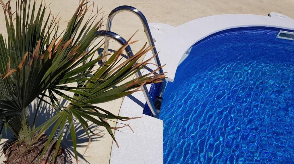 Bazén v ubytování Beach Resort La Margarita nebo v jeho okolí