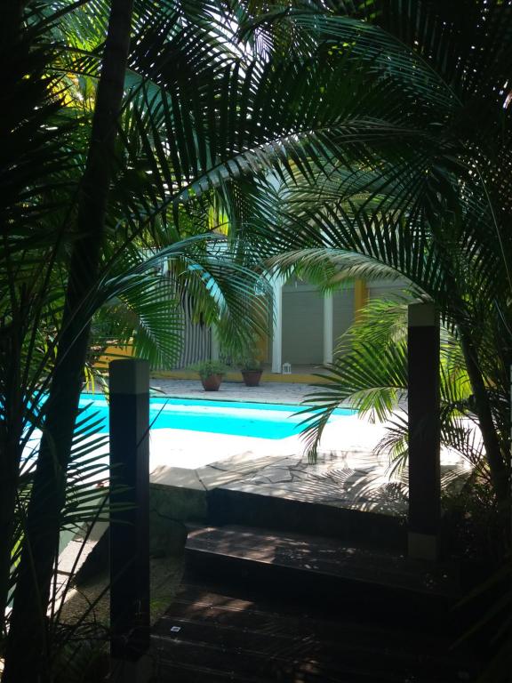 una piscina con palmeras en el primer plano en Chambre d'hôte La Villa Gialla, en Schœlcher