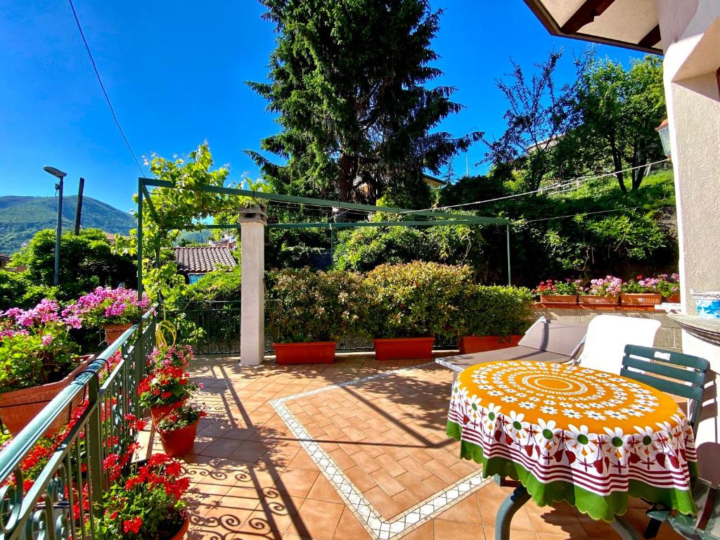 Il ritrovo delle Volpi - 9