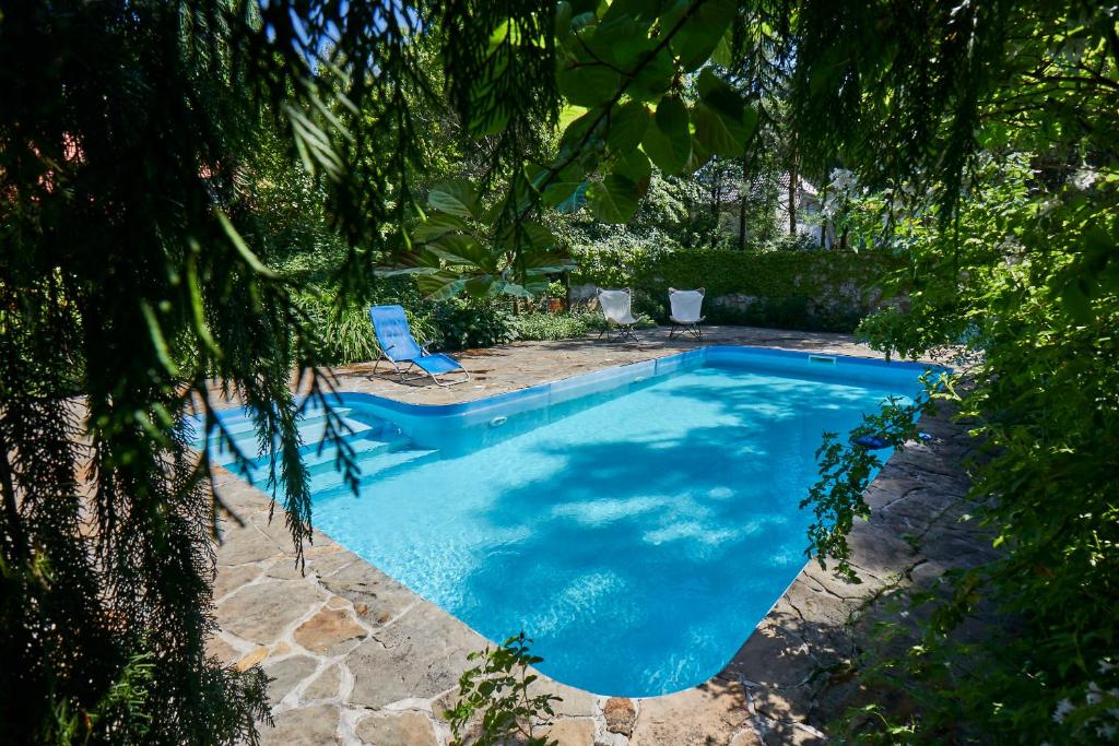 a swimming pool in a yard with a tree at Pod Lasem in Ludwinów
