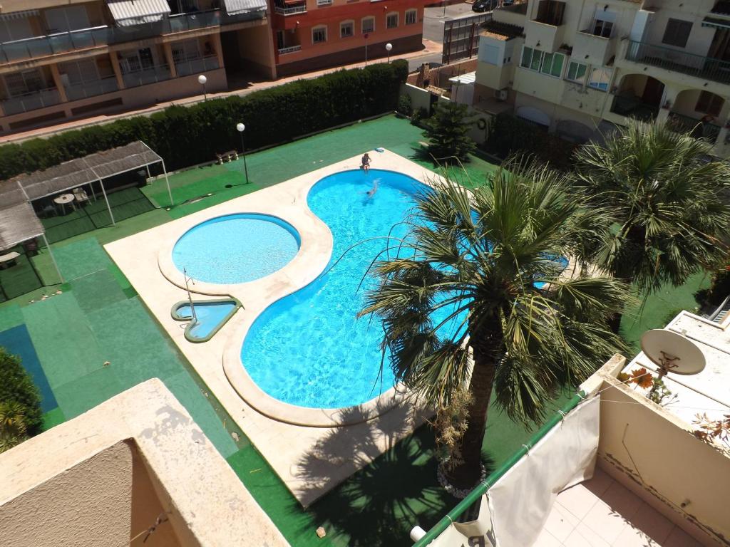 - une vue sur la piscine bordée de palmiers dans l'établissement Studio Sea View Med Syndicate 8, à Torrevieja