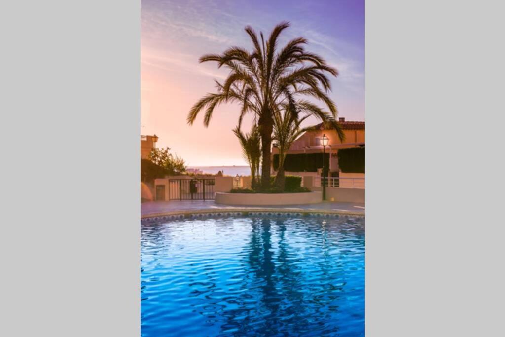 a palm tree sitting next to a swimming pool at Relájate y disfruta del sol en hermosas playas, apartamento espectacular (Santa Pola) Alicante in Santa Pola