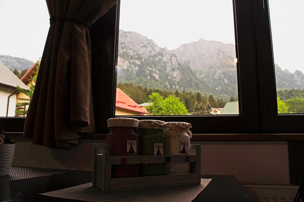 Zimmer mit einem Fenster und Bergblick in der Unterkunft Apartament Mountain Life in Buşteni