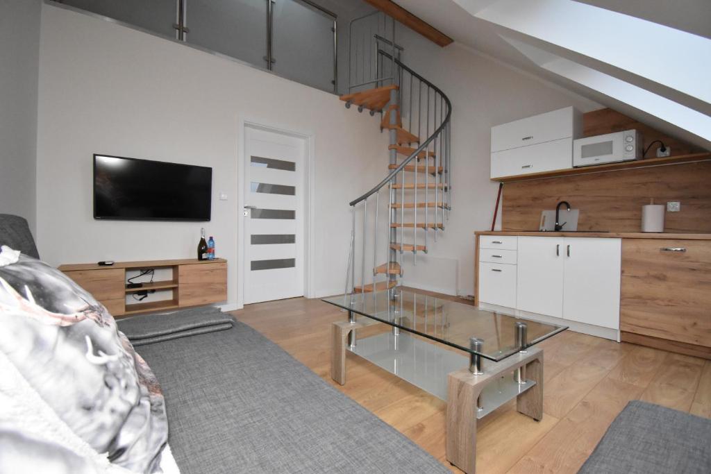 Televízia a/alebo spoločenská miestnosť v ubytovaní Apartamenty Pod Skalitem