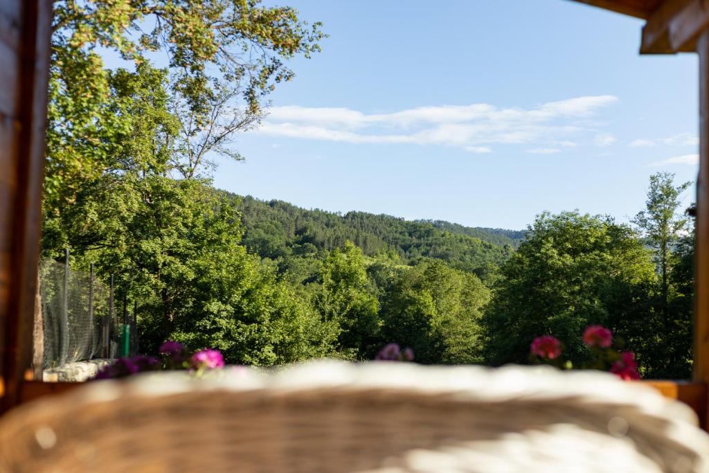 Příroda nedaleko apartmánu