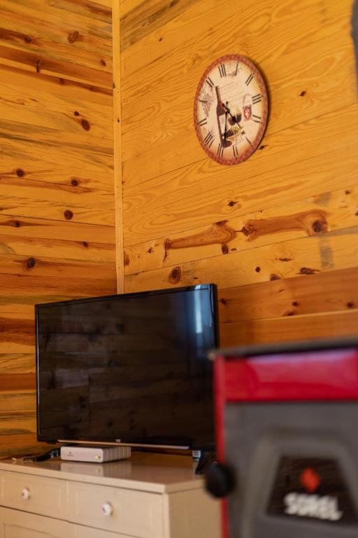 TV a/nebo společenská místnost v ubytování Apartments Milev
