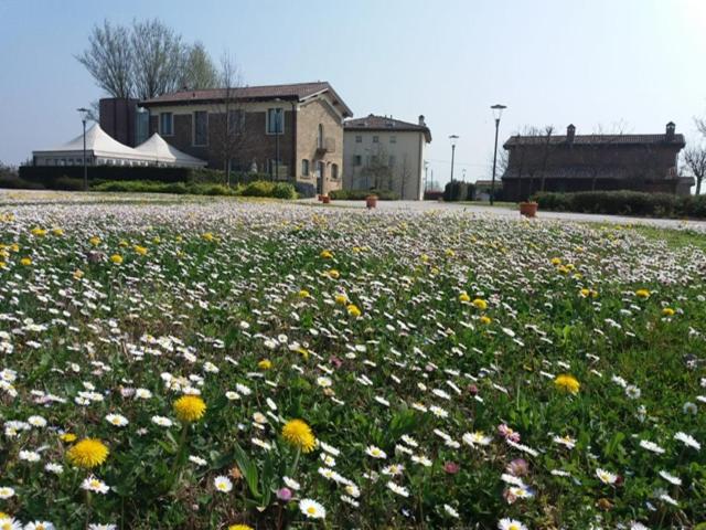 a field of flowers in front of a house at Hotel La Fornace in San Vicenzo di Galliera