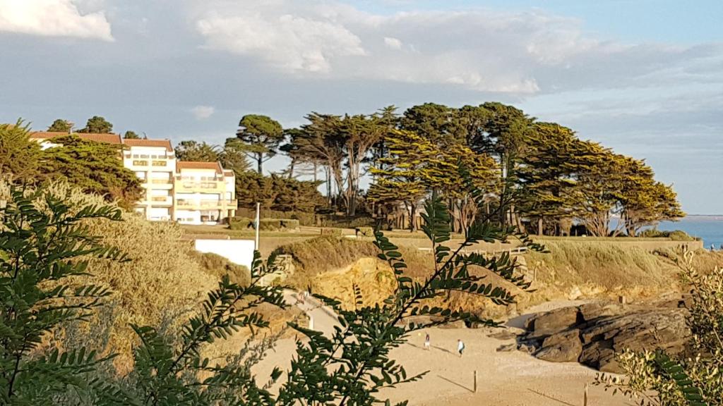 uma praia com árvores e um edifício ao fundo em Appartement Face a la Mer em Pornic