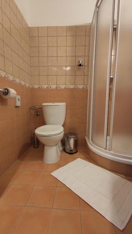 Hotel Modrásek - 19