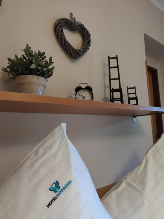 Hotel Modrásek - 15