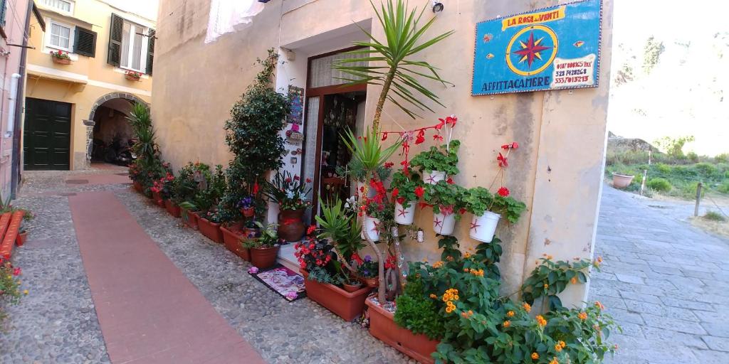 a building with potted plants on the side of it at Affittacamere Rosa Dei Venti in Levanto