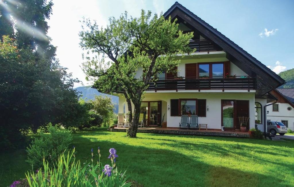 a house with a green yard with a tree at Guest House Alenka in Bohinj