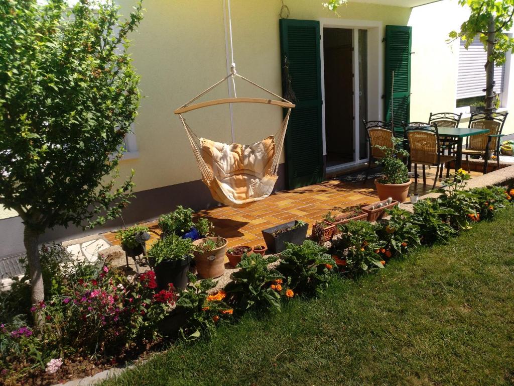 eine Terrasse mit einem Haufen Pflanzen und Blumen in der Unterkunft Kakteengarten in Böchingen