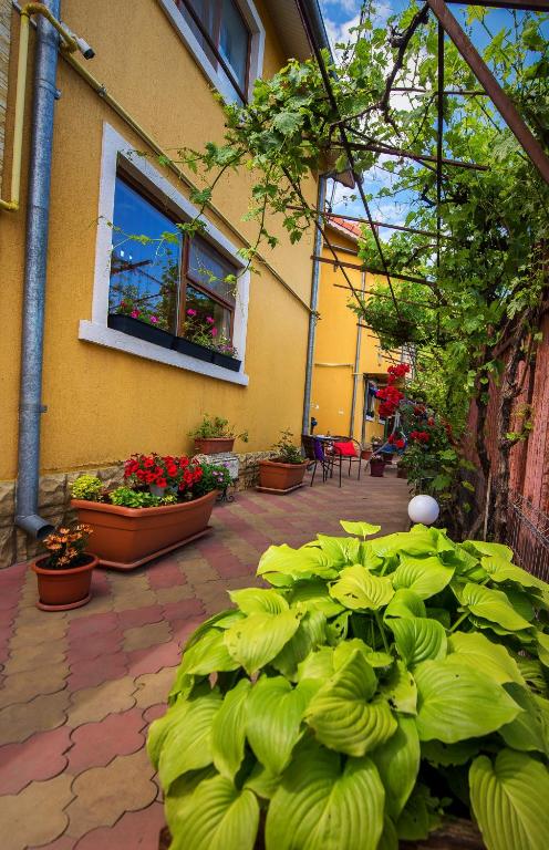 a patio with green plants and a building at Vila Levent Mangalia in Mangalia