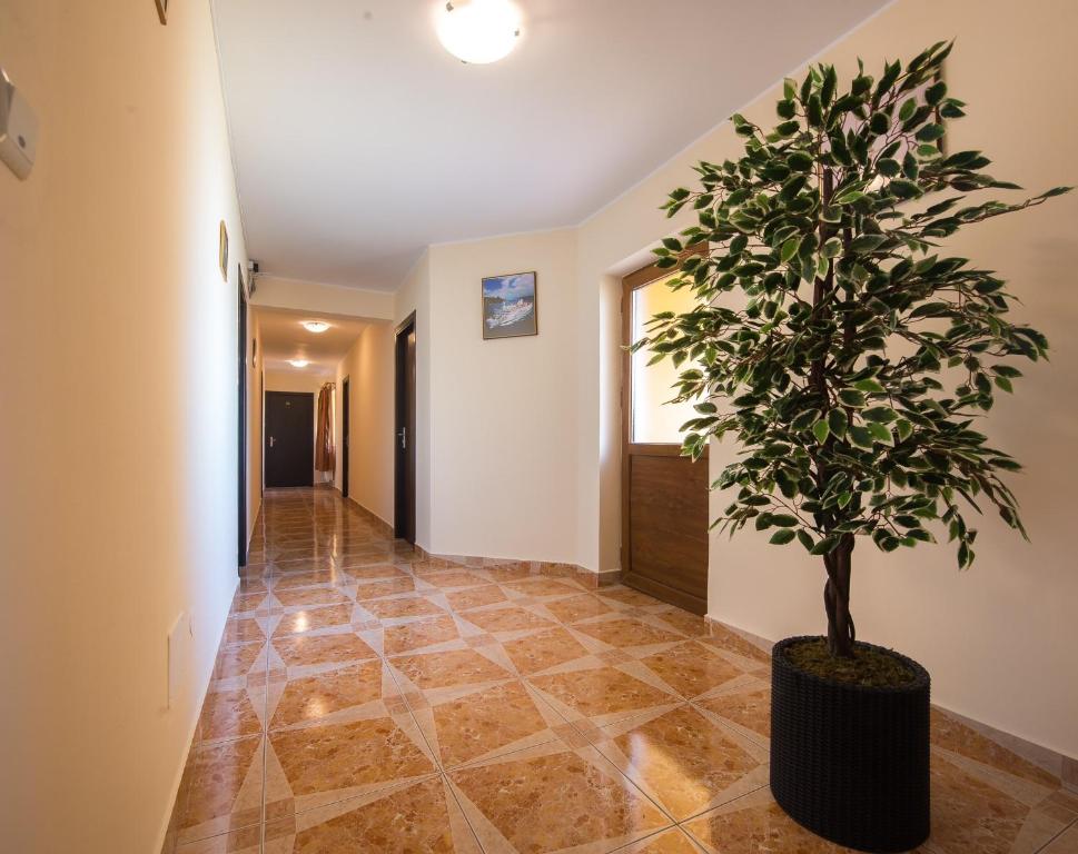 a hallway with a plant in a pot on the floor at Vila Levent Mangalia in Mangalia