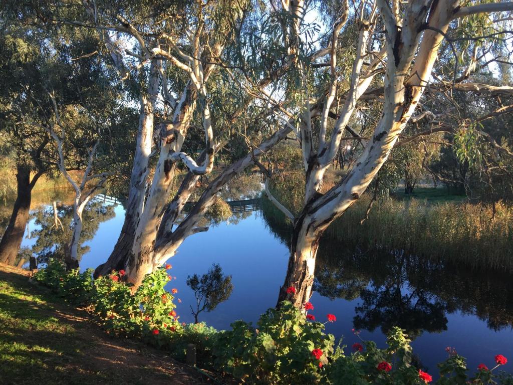 a view of a pond with trees and flowers at Donald Riverside Motel in Donald