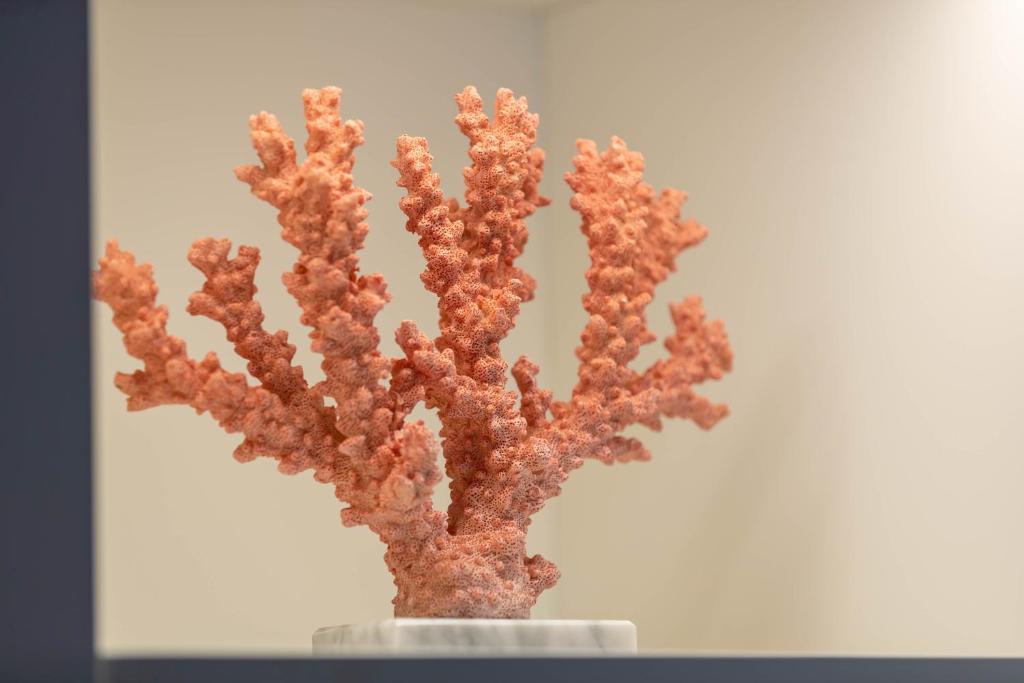 Hotel Claude Marbella - Resim 26