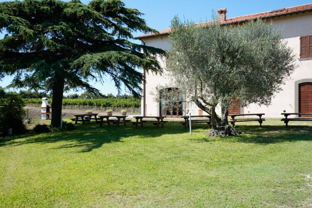 grupa stołów piknikowych i drzewo przed budynkiem w obiekcie Agriturismo Vigna Sul Lago w mieście Montefiascone