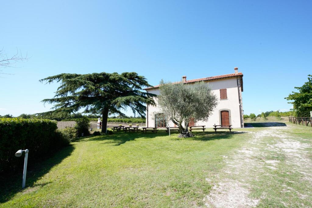 Ogród w obiekcie Agriturismo Vigna Sul Lago